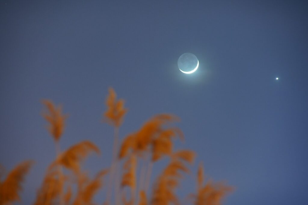 moon venus1