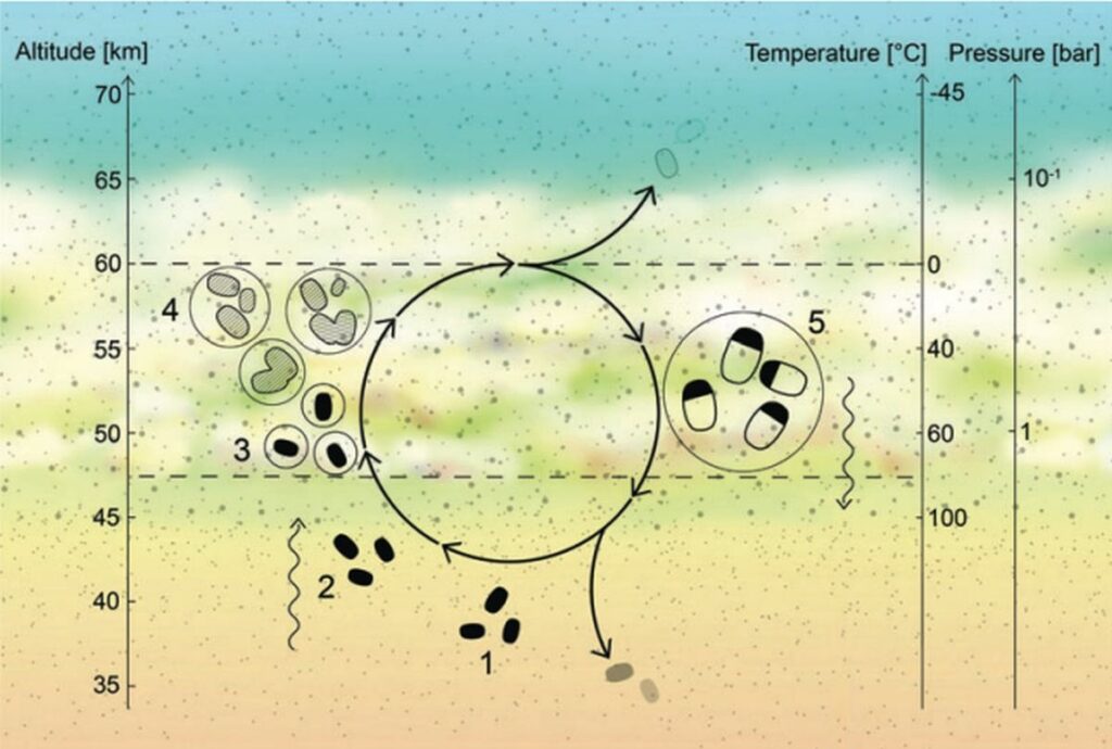 Venus Cloud Life