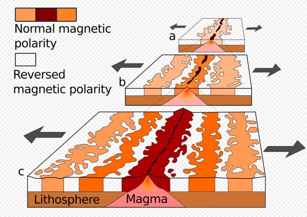 seafloor paleomagnetism