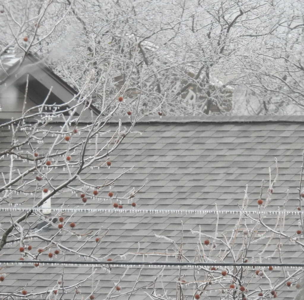 Tiny icicles west lafayette IN N