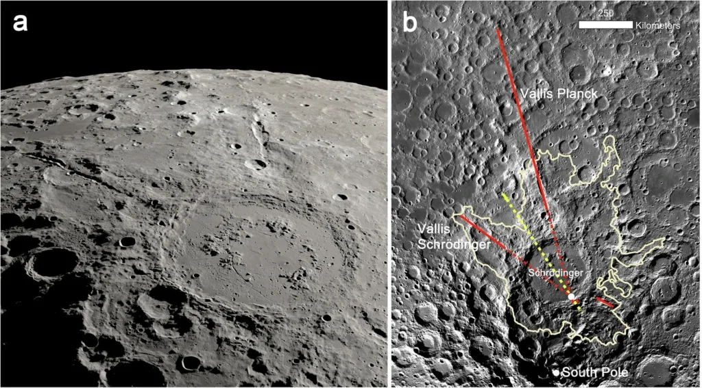 MOON 41467 2024 55675 Fig1 HTML