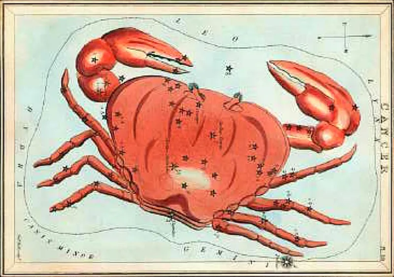 Cancerurania 1