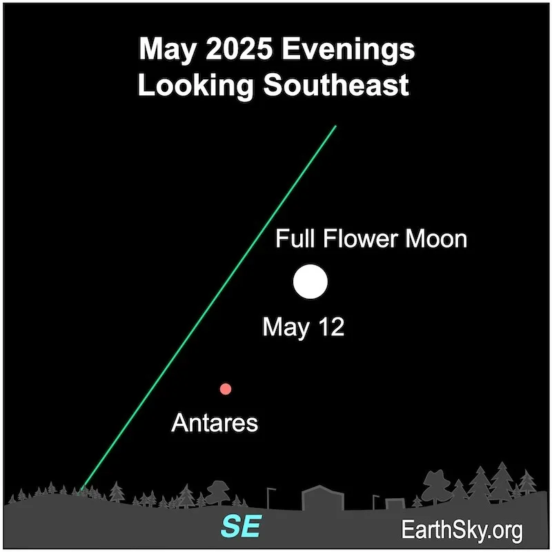 May 2025 full Pink Moon