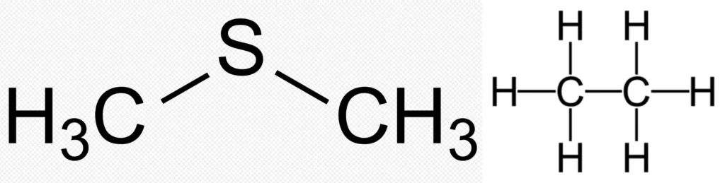 ethane and dms