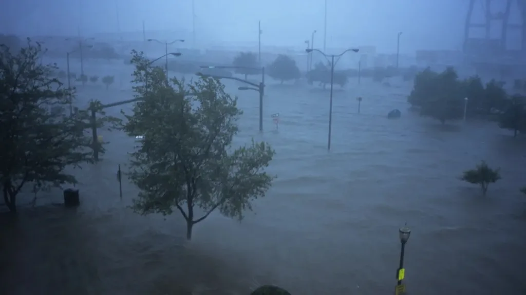 jDfqS5F5FjFxsrmBjMoMwn 1200 80.j