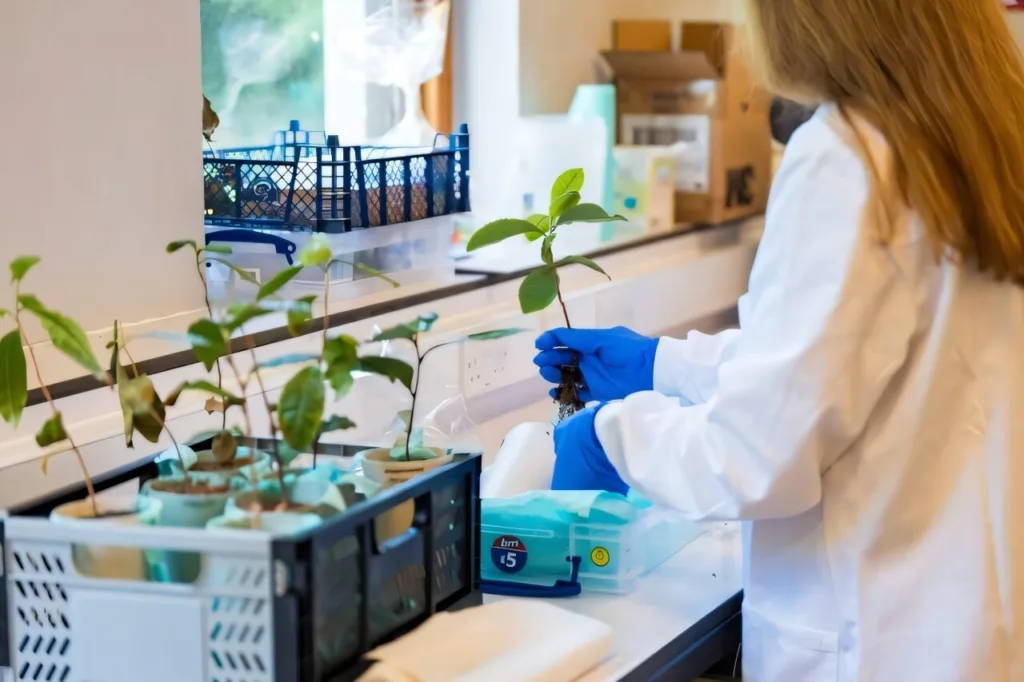 researchers over the m 20250922