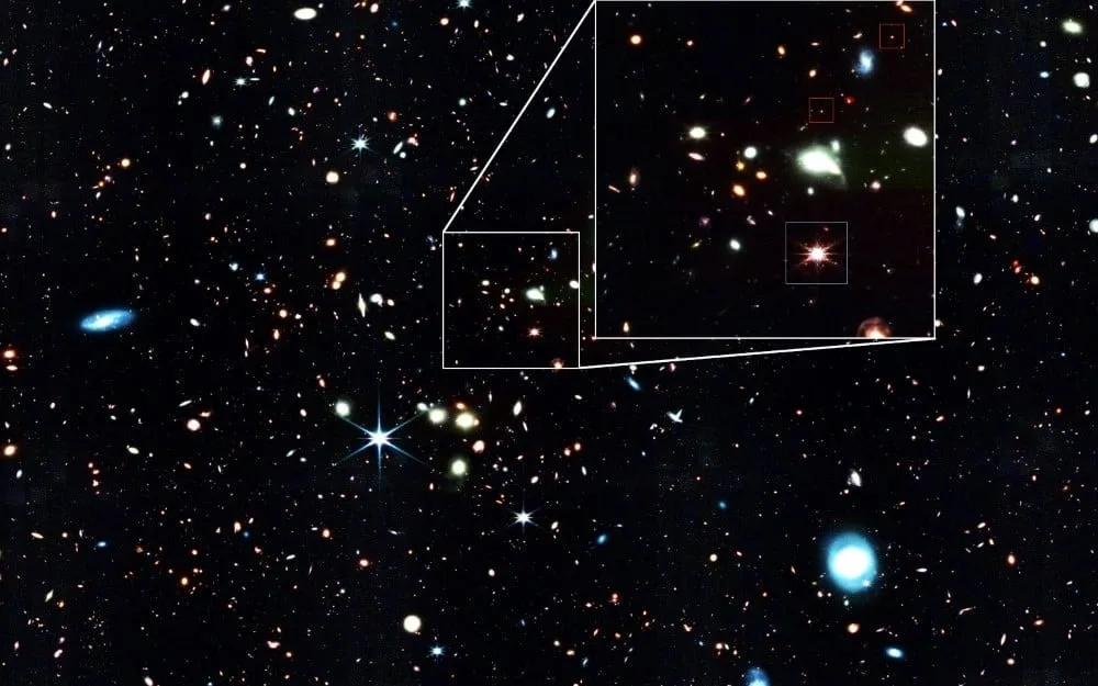 Giant quasar and little red dots