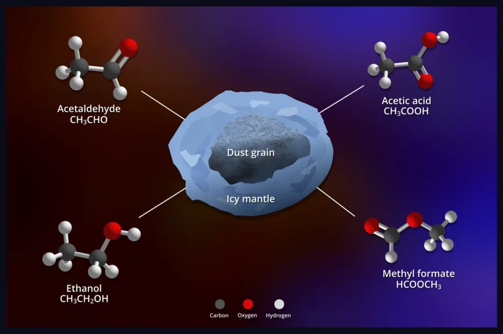 Illustration2 cartoon 20251027 2