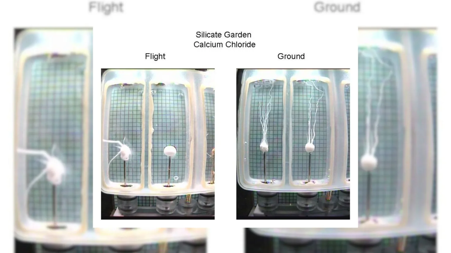 زندگی چیزی است که ماده را معنا‌دار می‌کند