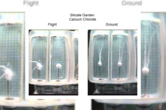 زندگی چیزی است که ماده را معنا‌دار می‌کند