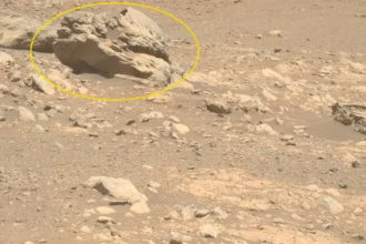 مریخ‌نورد پرسویرنس ناسا سنگی غنی از فلز در مریخ پیدا کرد: آنچه باید بدانید
