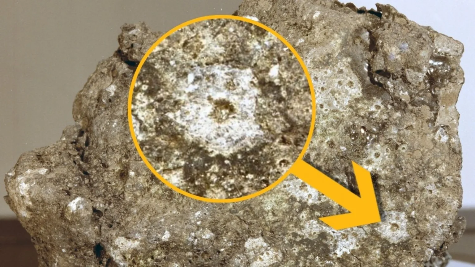 تهدید بی‌صدا در ماه؛ باران مداوم ریزشهاب‌سنگ‌ها جان پایگاه‌های آینده را نشانه گرفته است