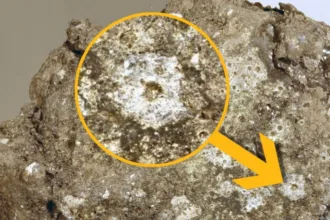 تهدید بی‌صدا در ماه؛ باران مداوم ریزشهاب‌سنگ‌ها جان پایگاه‌های آینده را نشانه گرفته است