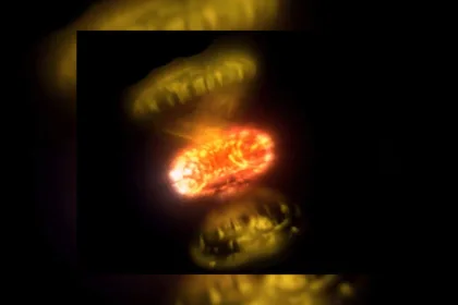 تصاویر واقعی از انفجار نواها رازهای پیچیده‌ی این رویدادهای کیهانی را فاش کرد