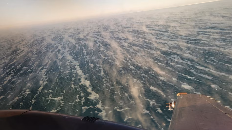 Untitled design 18 1767104403420