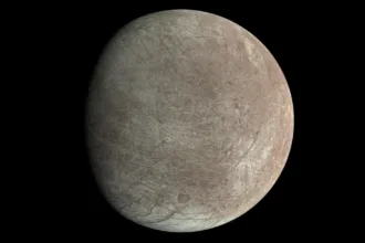 بستر دریای اروپا ممکن است برای حیات بیش از حد آرام باشد: «به نظر نمی‌رسد انرژی آنجا وجود داشته باشد»