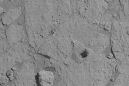 مریخ‌نورد Curiosity پس از مقارنه خورشیدی دوباره متصل شد و جستجوی حیاتی مواد آلی در مریخ را آغاز کرد