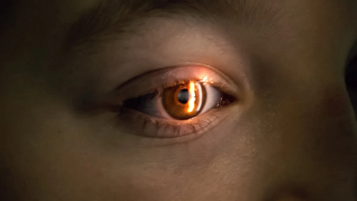 EyeScanning