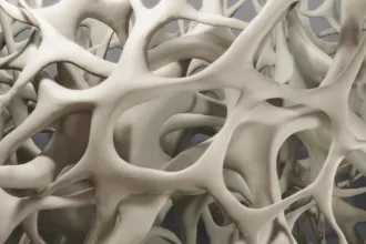 bone density closeup