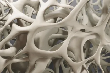bone density closeup