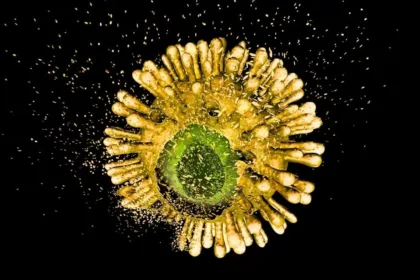 hiv capsid exploding