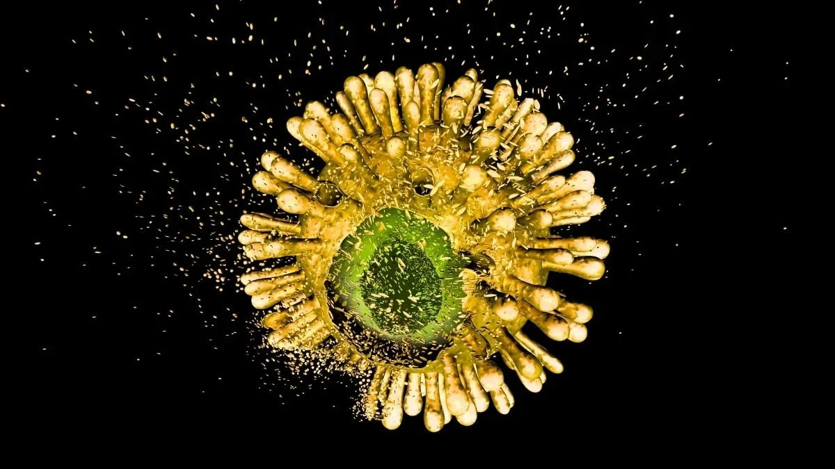 hiv capsid