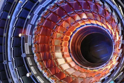 lhc cms