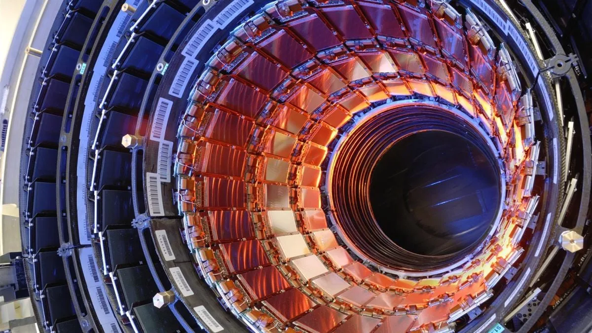 lhc cms