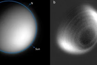 venus rings 2