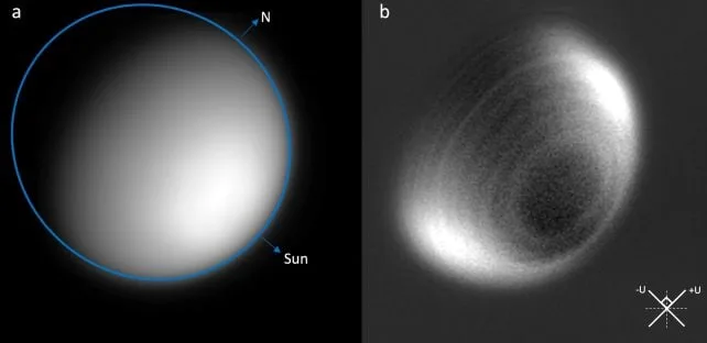 venus rings 2