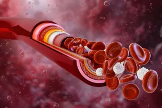 BloodVessels