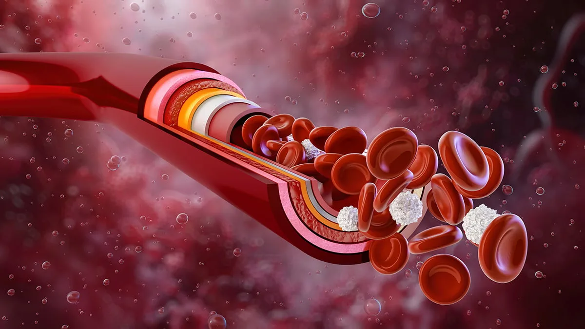 BloodVessels