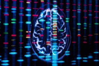 Brain genes