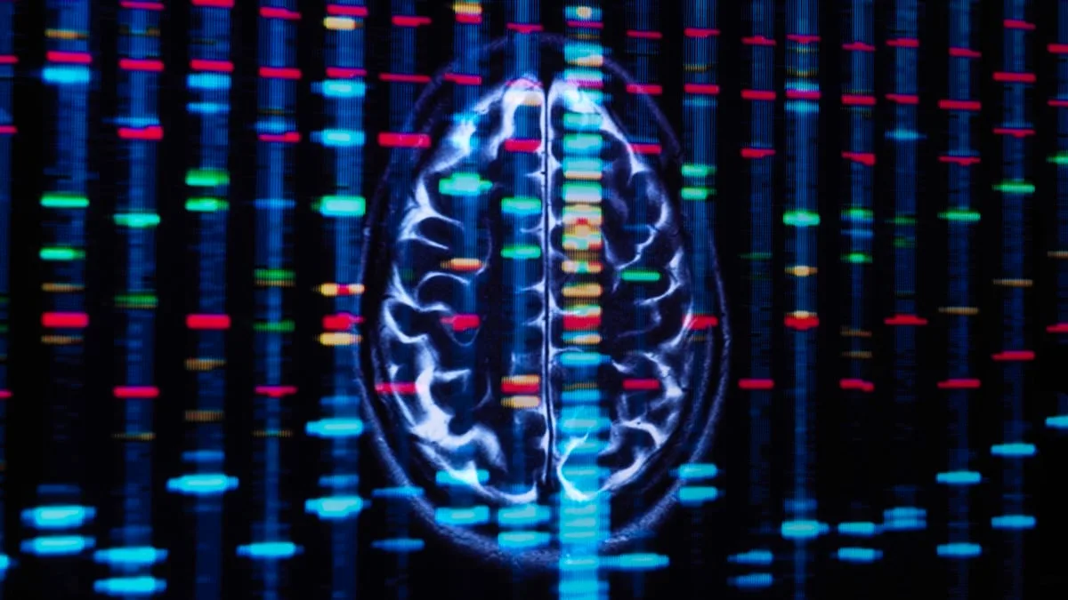 Brain genes