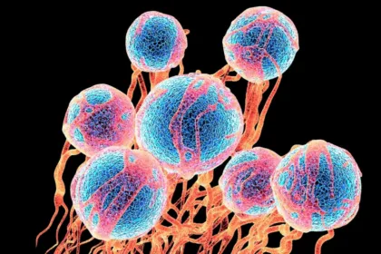 Cancer cells bright on black 1