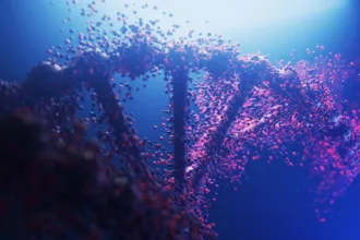 DNA structure