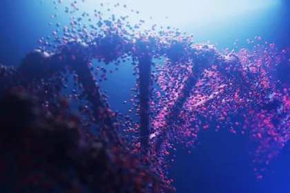 DNA structure