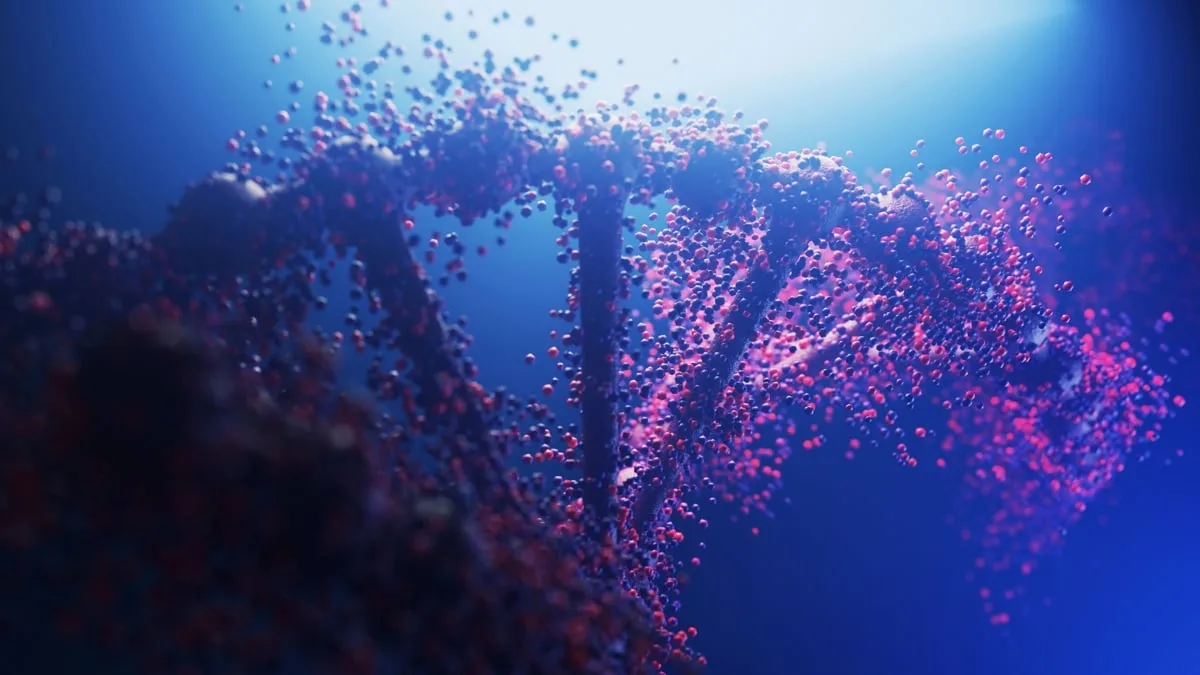 DNA structure