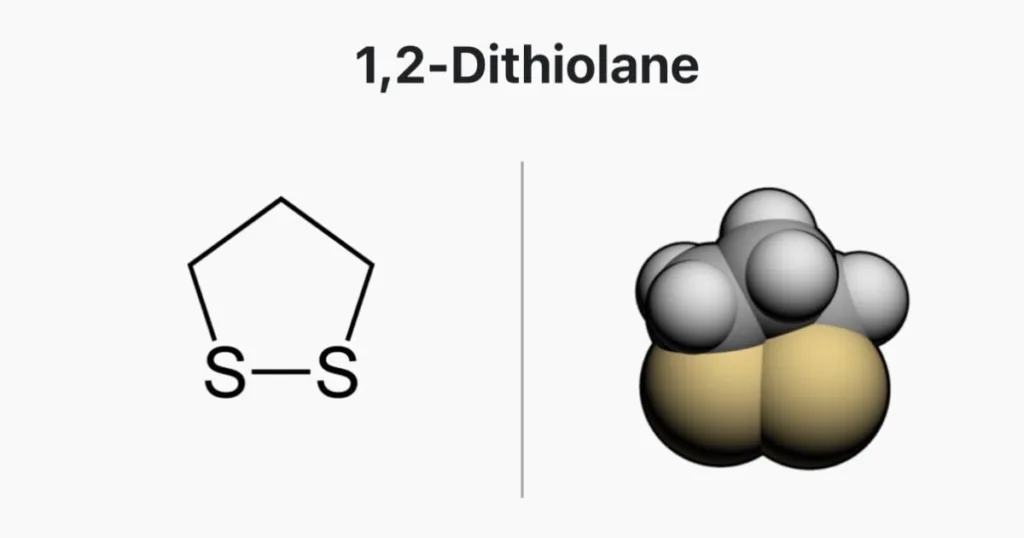 Dithiolane Large 1200x630 1