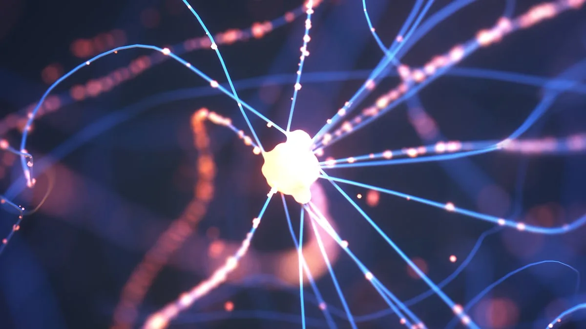 GlowingNeurons