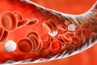 SciencePhotoLibrary 3D render of blood vessel with red and white blood cells