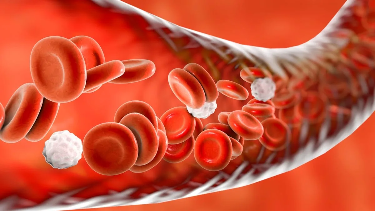 SciencePhotoLibrary 3D render of blood vessel with red and white blood cells