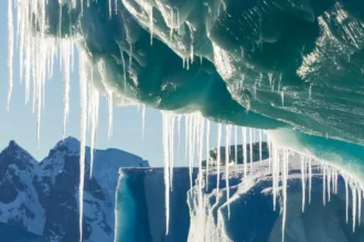 antarctica icicles