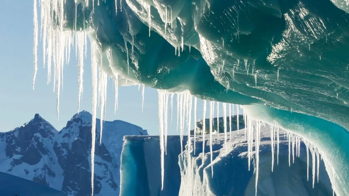antarctica icicles