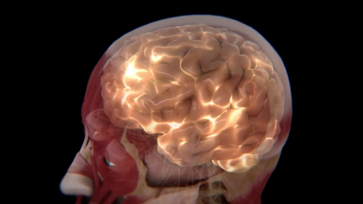 brain showing lights
