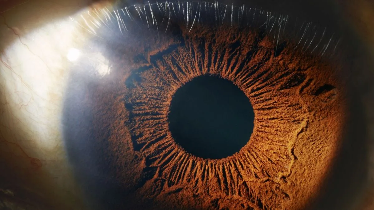 eye close