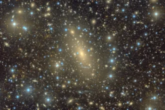 ic 1101 1