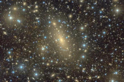 ic 1101 1