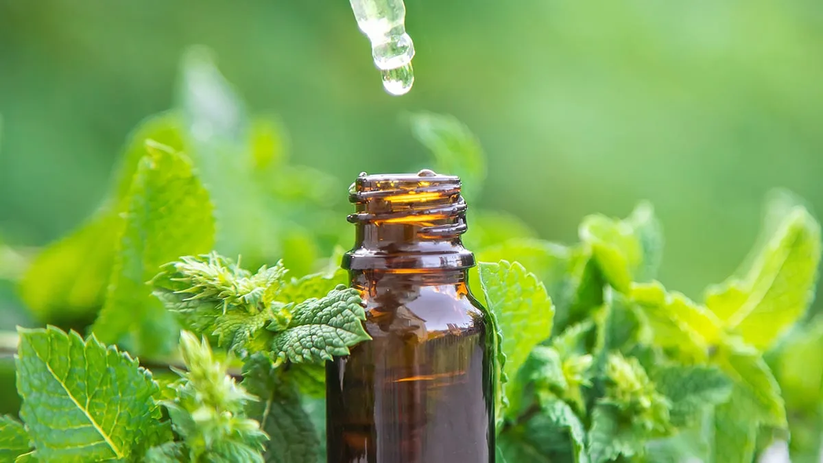 PeppermintOil
