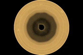 saturn decagon